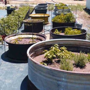Taking Stock in Raised Garden Beds Image